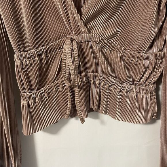 Zara Long Puffed Sleeve Bronze Champagne Accordion Micro Pleated Top M - Picture 5 of 7